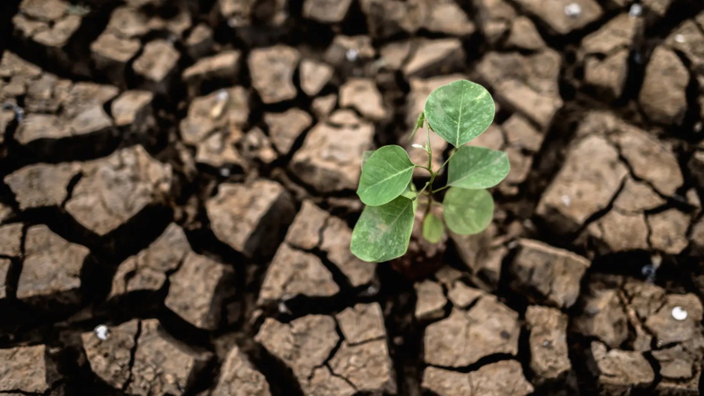 Los economistas prevén que los alimentos suban hasta un 9 % en 2027 por la guerra y el clima extremo