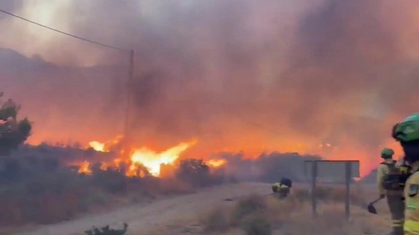 Doce muertos y tres heridos graves en el incendio forestal de Los Gallardos, Almería