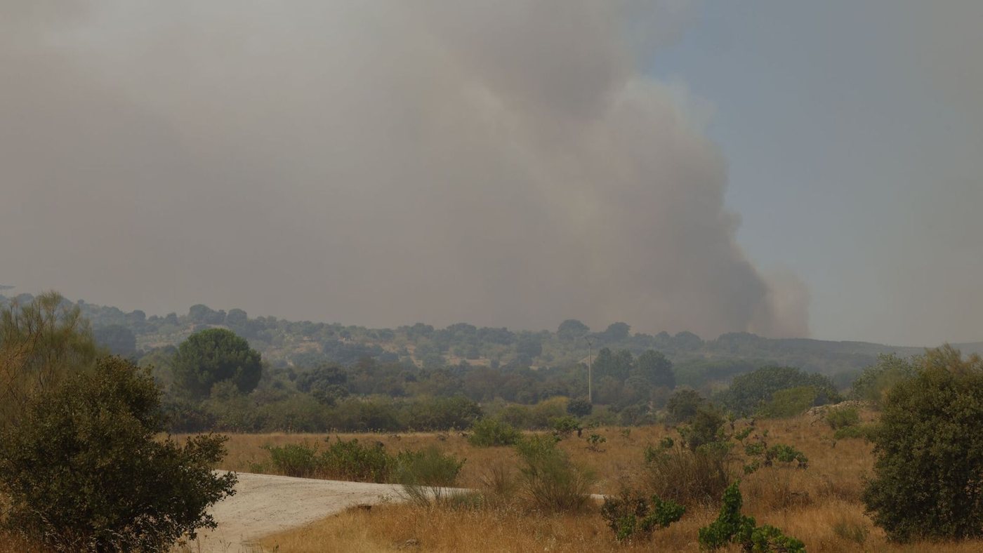Las pavesas, el peligro invisible que aviva los incendios forestales en España